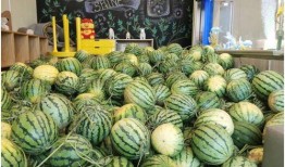 今日吃瓜 吃瓜网51官网版,吃瓜网51官网版带你畅游吃瓜盛宴